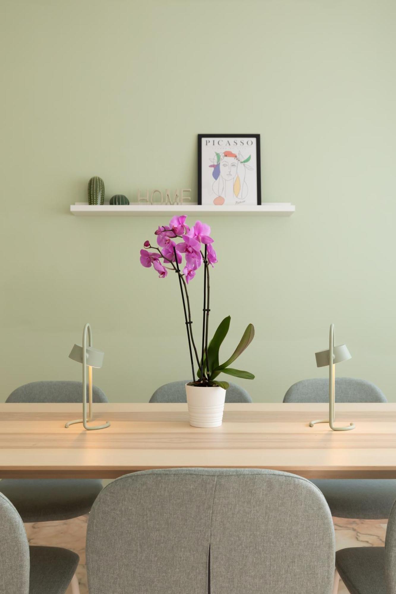 Domiziano Boutique Apartment Roma Eksteriør bilde
